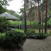 Ogród w lesie w Konstancinie Jeziorna